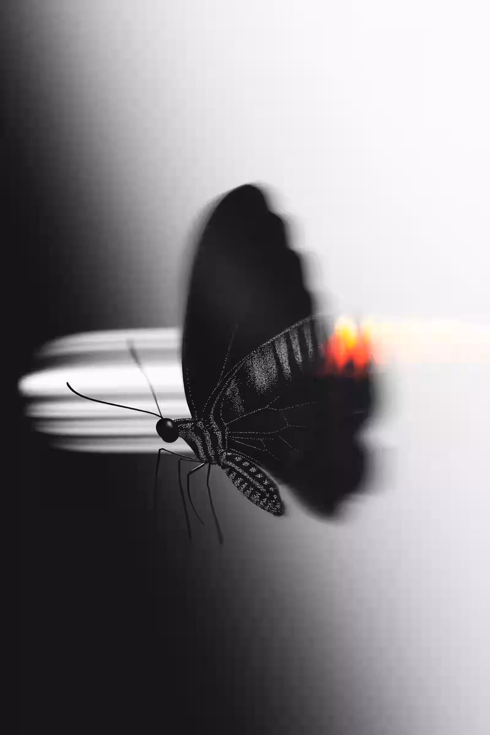 AI generated image created in the trendshiftlabs studio
