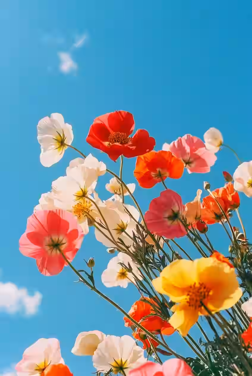 AI generated image created in the trendshiftlabs studio